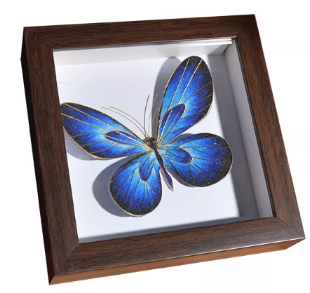 Butterfly Tutorials